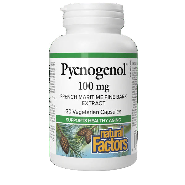 Bottle of Pycnogenol 100 mg capsules with Natural Factors branding on a white background
