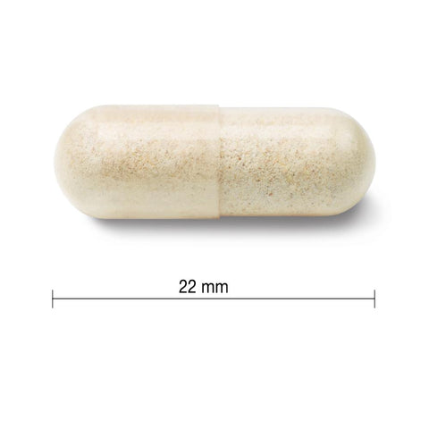2 x Jamieson Probiotic 60 Billion Ultra Strength, 24 caps Bundle