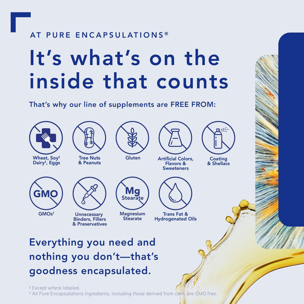 Pure Encapsulations, NAC + Glycine Powder, 159g