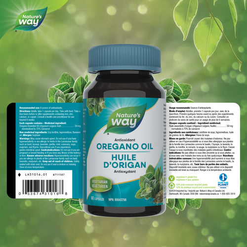 Nature's Way Oregano Oil, 60 Vcaps