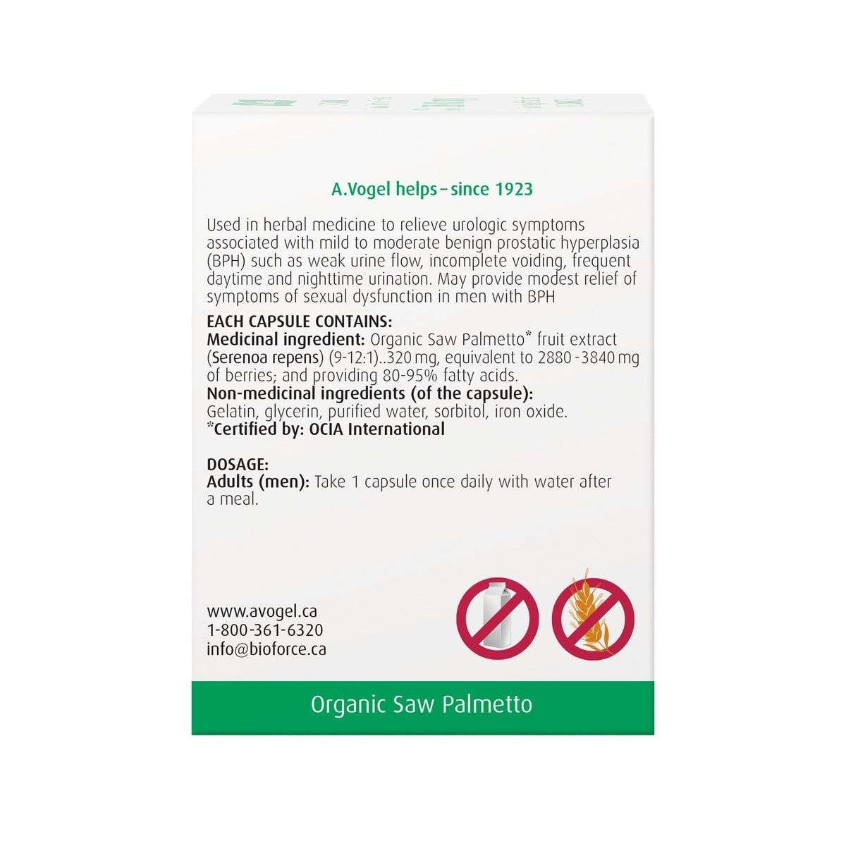 A. Vogel Prostate 1 a Day - 30 caps