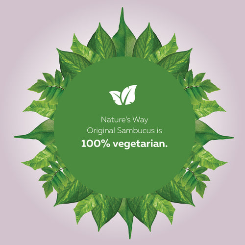 Nature's Way 接骨木免疫支持 抗感冒和流感护理,素食糖浆,120ml