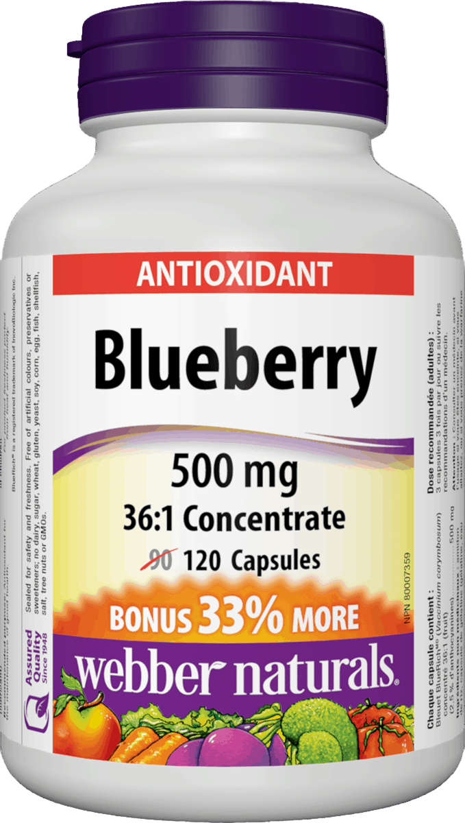 Webber Naturals Blueberry 500 mg 120 capsules Canada available from nitvd.com