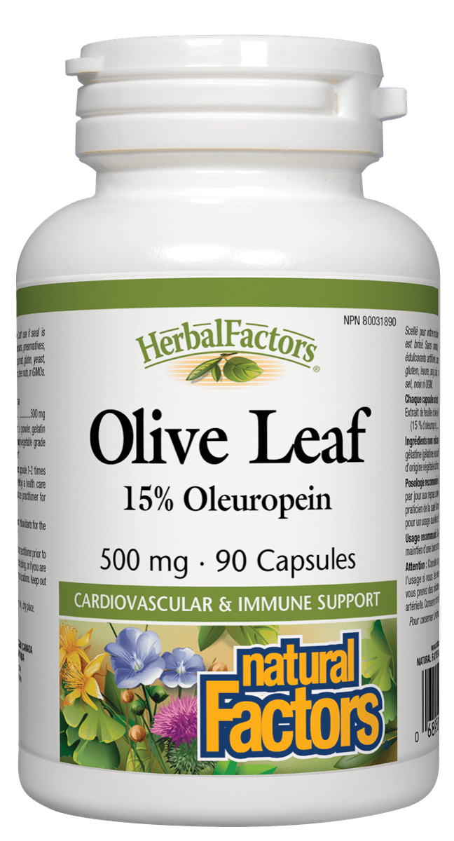 Bottle of Natural Factors Olive Leaf, 500mg, 15% Oleuropein, with 90 capsules for immune support. The label shows a green and white color scheme with an image of olive leaves and flowers.