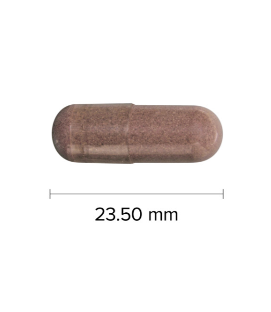 Webber Naturals Blueberry 500mg capsule length