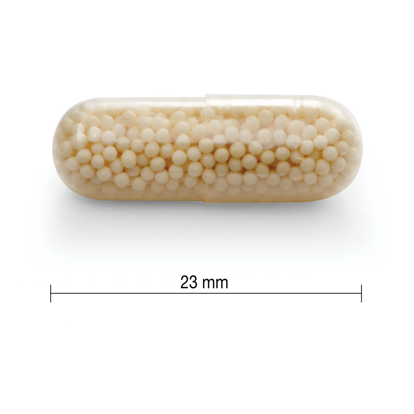 Jamieson Vitamin C 500 mg Time Release 100 capsules
