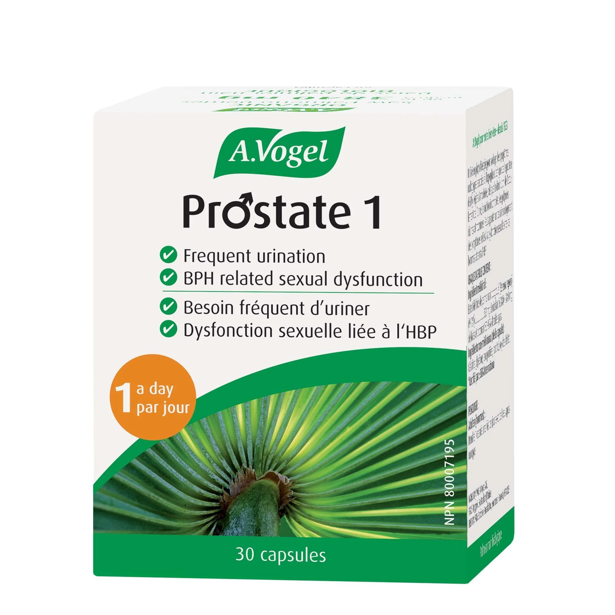 A. Vogel Prostate 1 a Day - 30 caps
