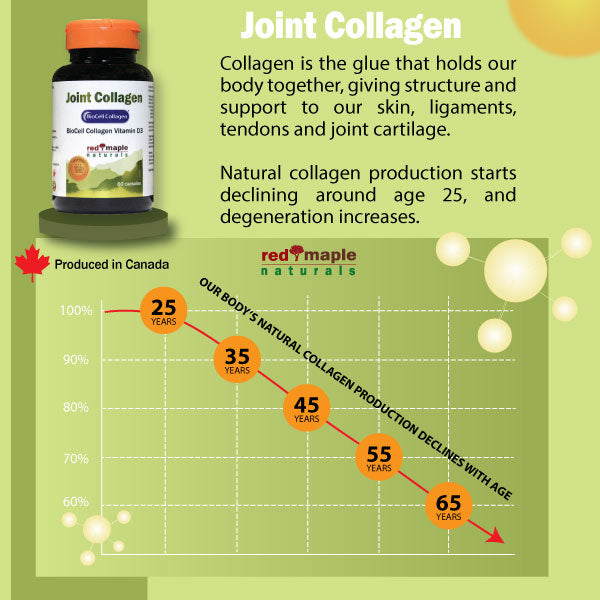 Red Maple Naturals BioCell Joint Collagen 500mg +D3 Natural Collagen Collagen decline chart
