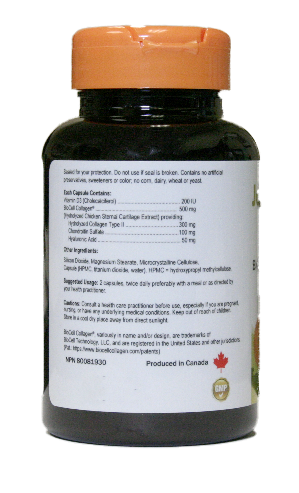 Red Maple Naturals BioCell Joint Collagen 500mg +D3, 60 capsules side panel photo Canada