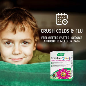 A. Vogel Echinaforce Junior, 90 Tablets Children 2+