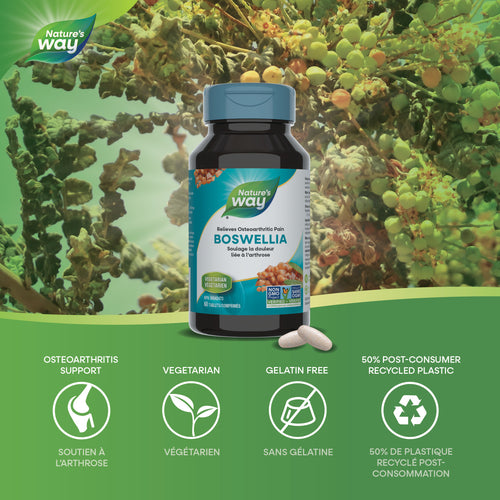 Nature's Way Boswellia 60 tabs