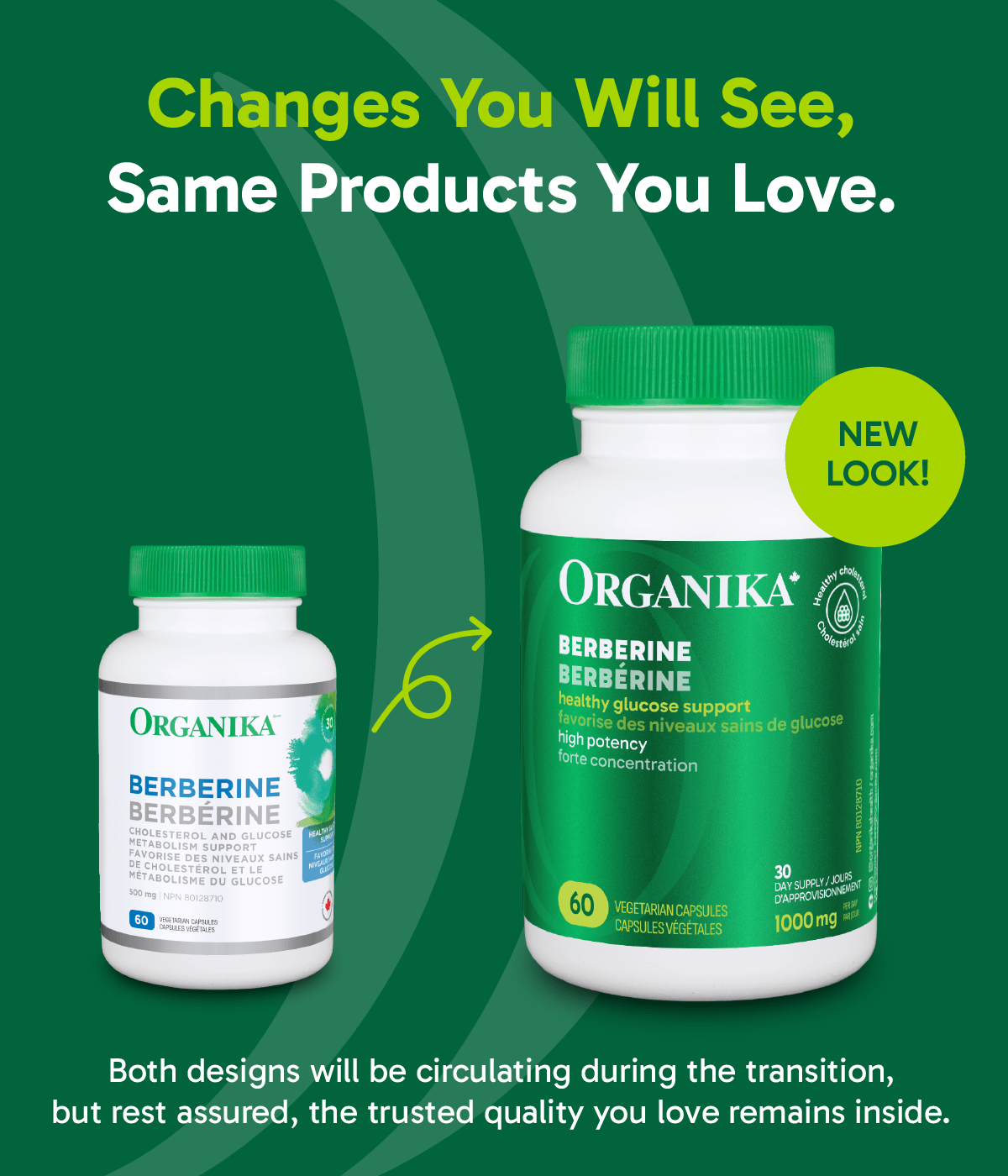 6x Organika Berberine 500 mg, Promotes cardiovascular well-being, 60 Vcaps Bundle