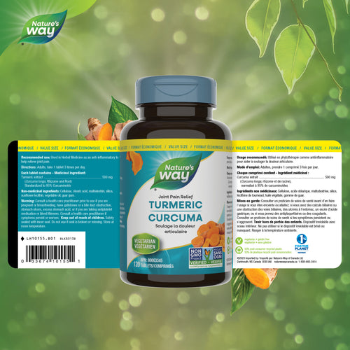 Nature's Way Turmeric Standardized 120 Tabs