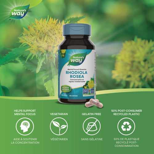 Nature's Way Rhodiola Rosea, 60 Vcaps