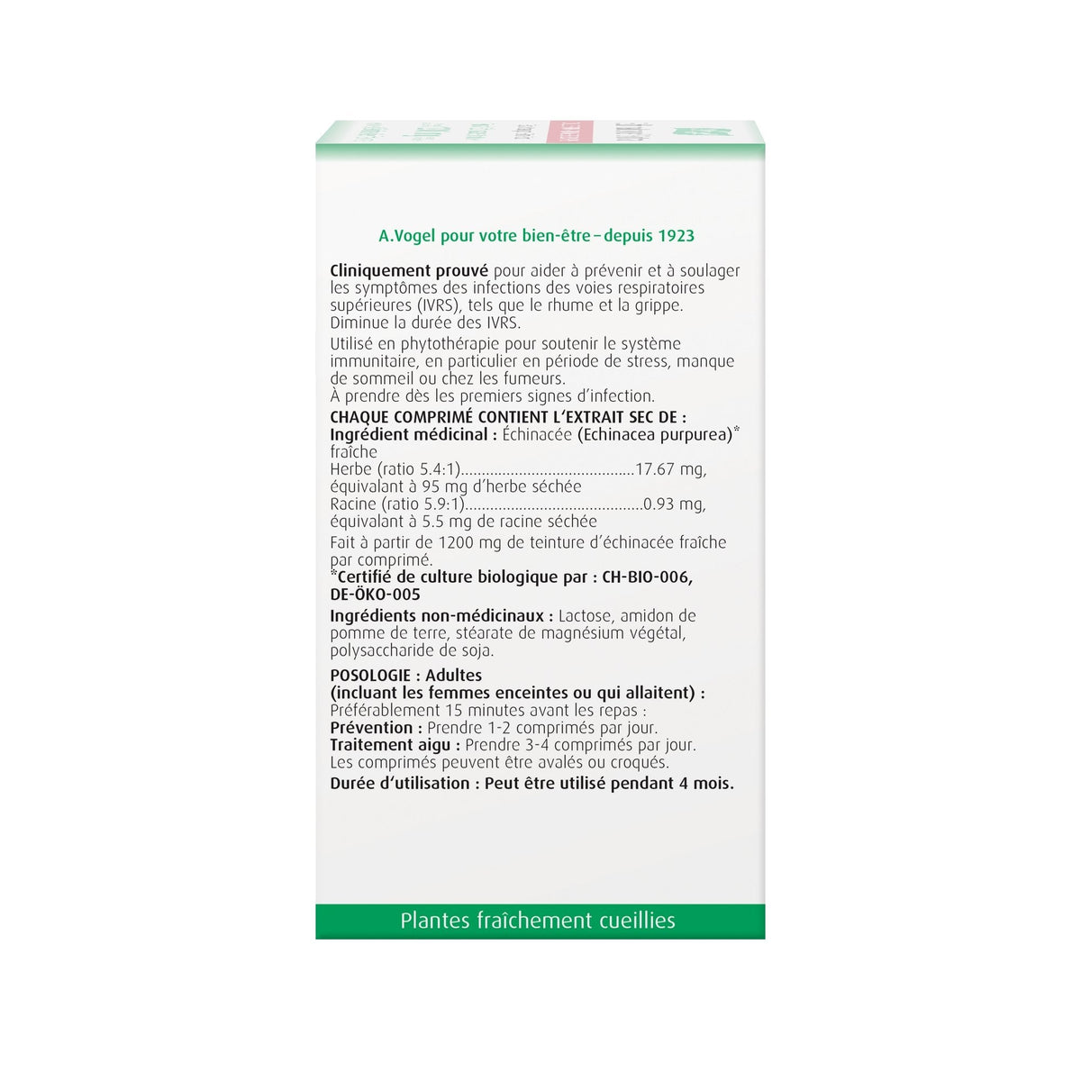 A. Vogel Echinaforce Extra Strength 120 tablets