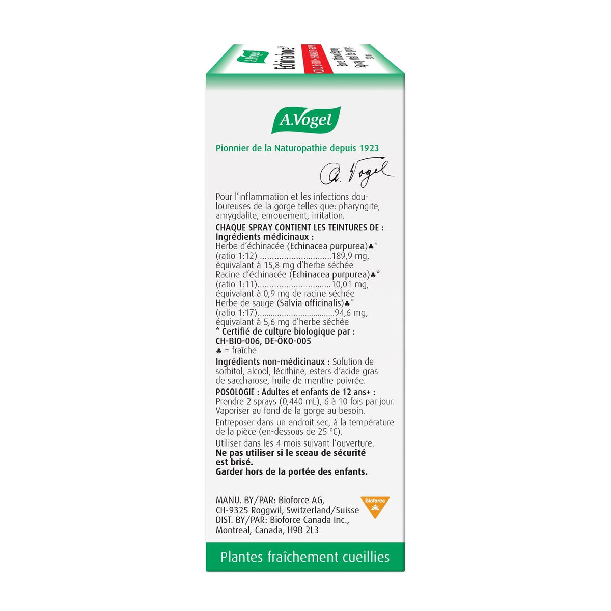 A. Vogel Echinaforce 咽喉喷剂 30 毫升 缓解咽喉疼痛