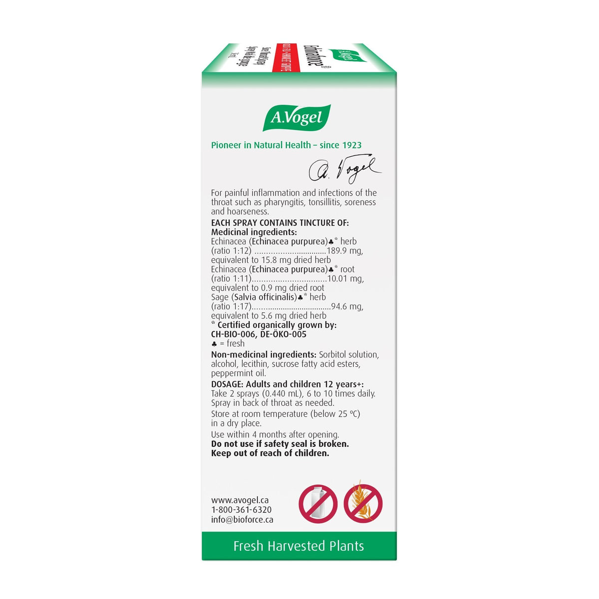 A. Vogel Echinaforce 咽喉喷剂 30 毫升 缓解咽喉疼痛