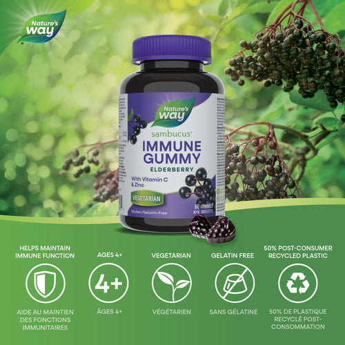 【clearance】Nature's Way Sambucus Immune Support, Original Gummies, 60 gummies Exp: 4/30/2027