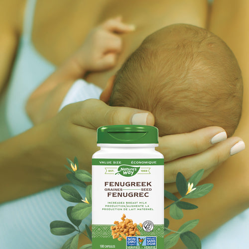 Nature's Way Fenugreek Seed 610mg, 180 bottle baby