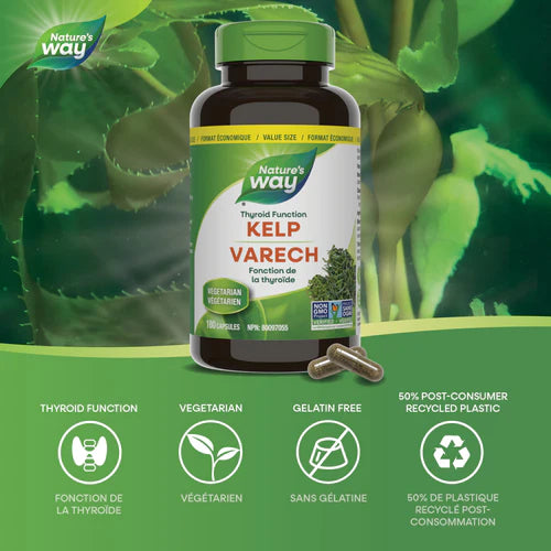 Nature's Way Kelp, 180 capsules Varech