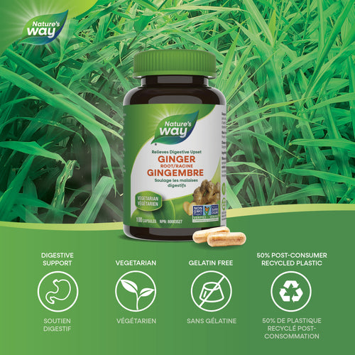 Nature's Way Ginger Root, 100 capsules