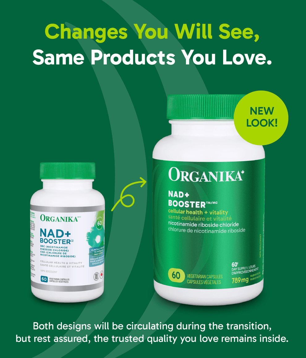 [優惠組合] 6瓶x Organika NAD+Booster NRC 300毫克 60粒素食膠囊