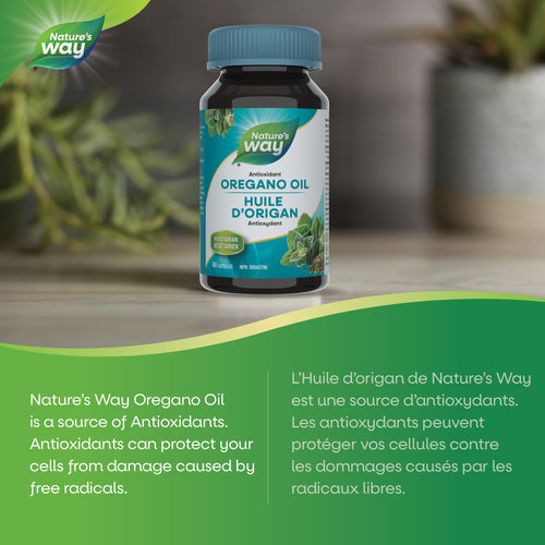 Nature's Way Oregano Oil, 60 Vcaps