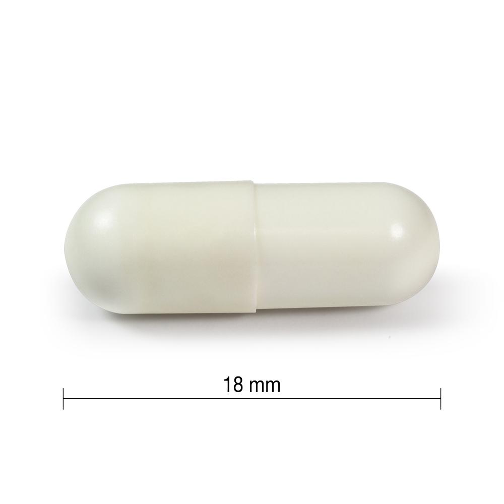 Jamieson Essentials Probiotics 10 Billion 60 veg. capsules 18 mm in length