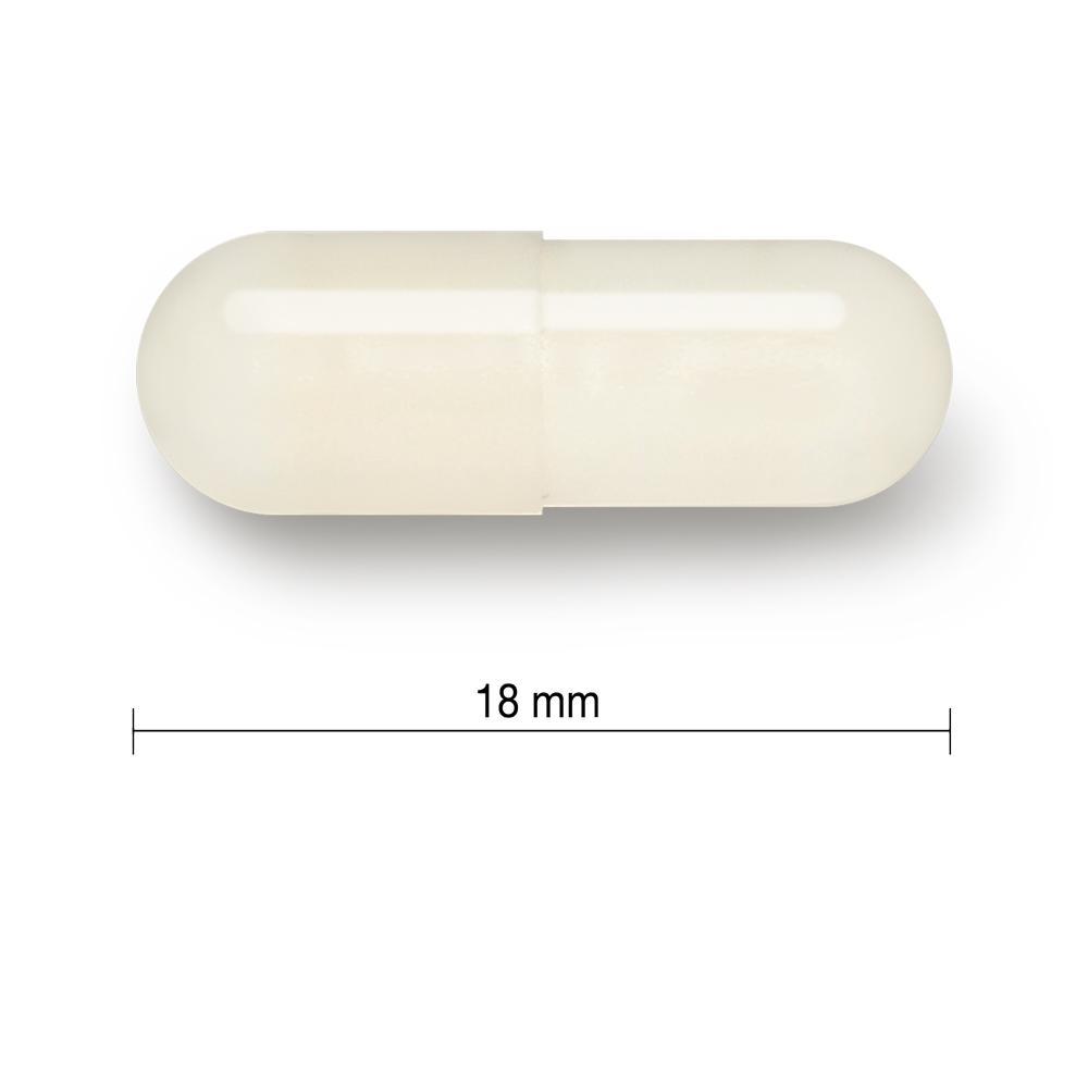 健美生 Jamieson Probiotic 5 Billion, 60 + 12 vegetarian caps  18 mm in length