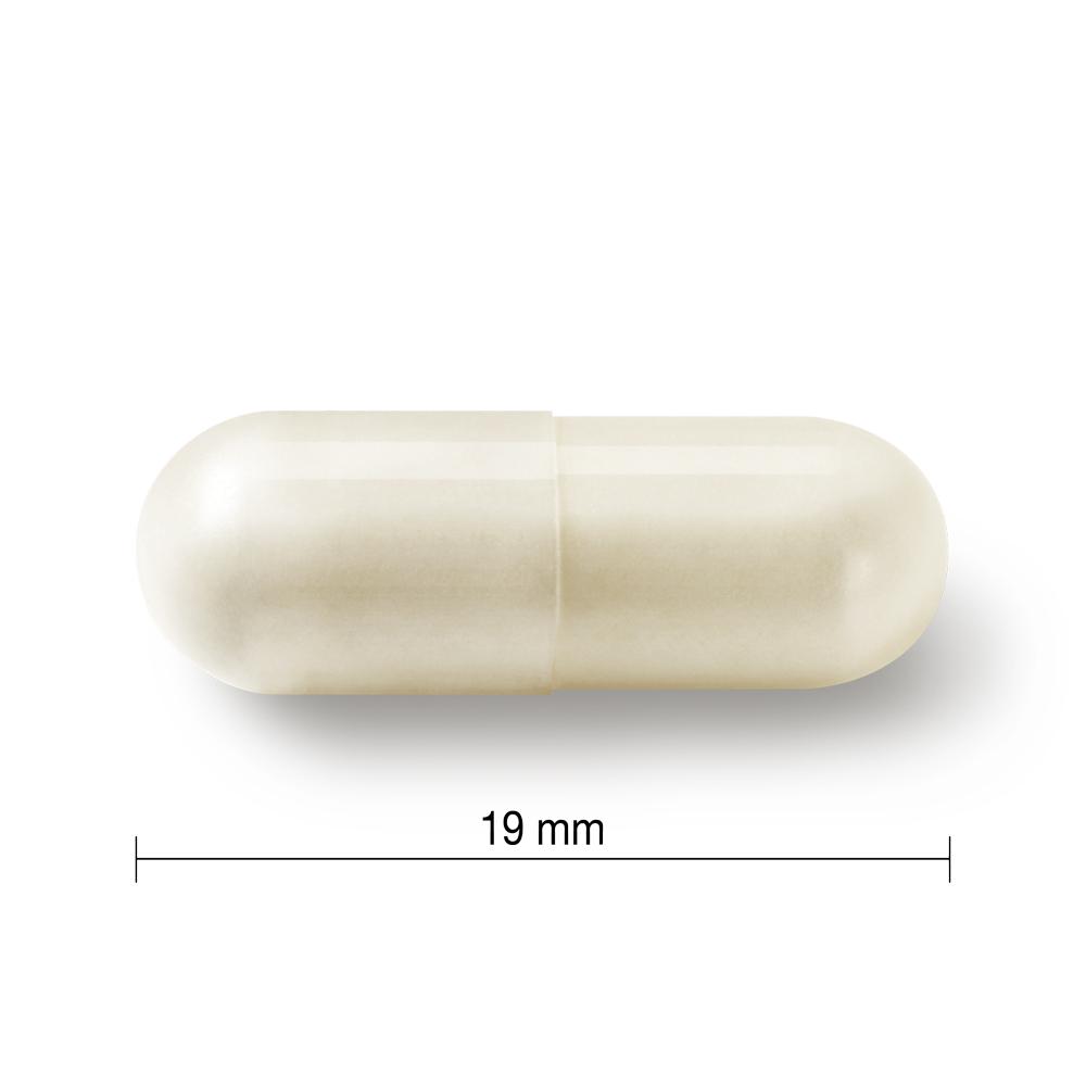 Jamieson Women's Probiotic Complex, 45 capsule length 19 mm 健美生