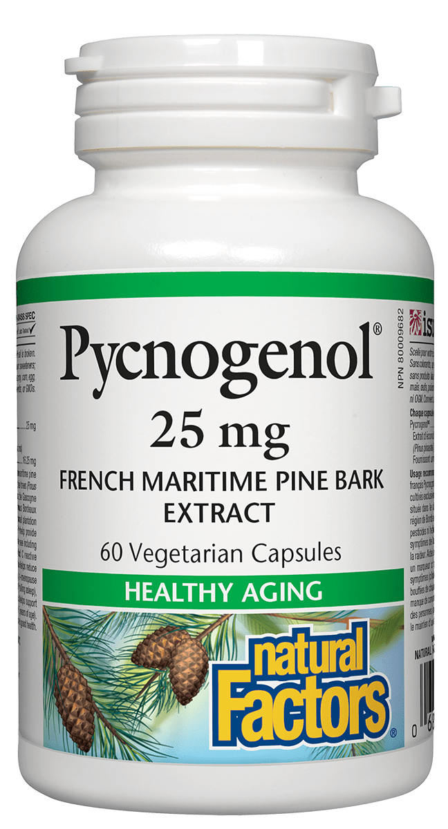 A bottle of Natural Factors Pycnogenol 25 mg French maritime pine bark extract, containing 60 vegetarian capsules.