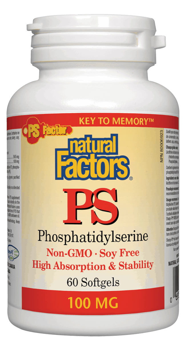 A bottle of Natural Factors Phosphatidylserine PS dietary supplement, containing 60 softgels, with non-GMO and soy-free labels.