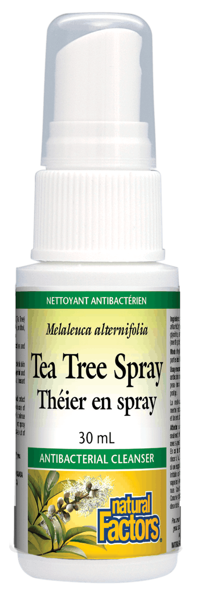 Bottle of Natural Factors Tea Tree Spray, 30ml, with label displaying the product name and information.