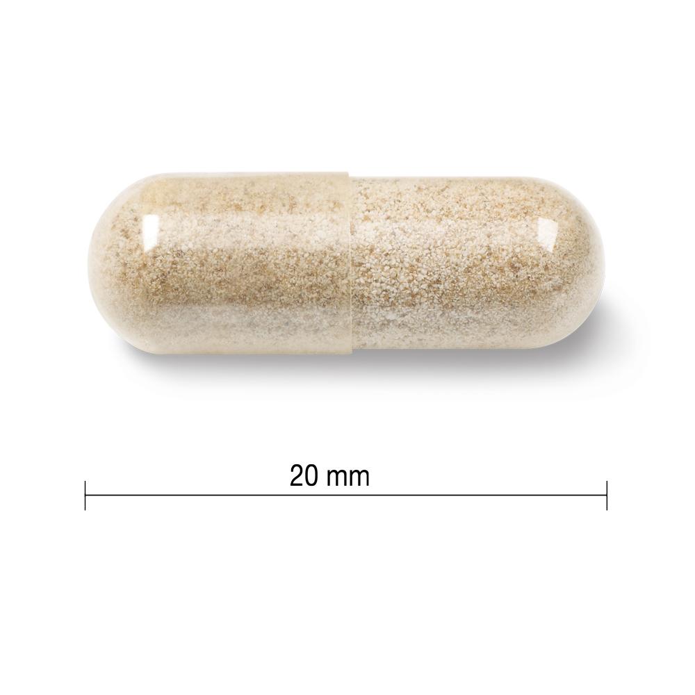 Jamieson Gentle Iron 28 mg 90 veg capsules 20 mm length