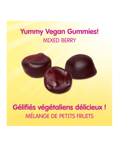 Sesame Street Healthy Tummy 1 Billion Active Cells-Mixed Berry 50 gummies yummy