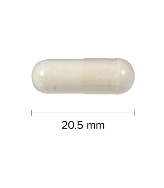 Webber Naturals Probiotic IBS Support 30 Vegetarian Capsule length 20.5 mm length