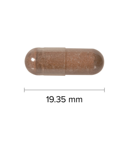 Webber Naturals Grape Seed Extract, 100mg, 90 capsule size 19.35 mm